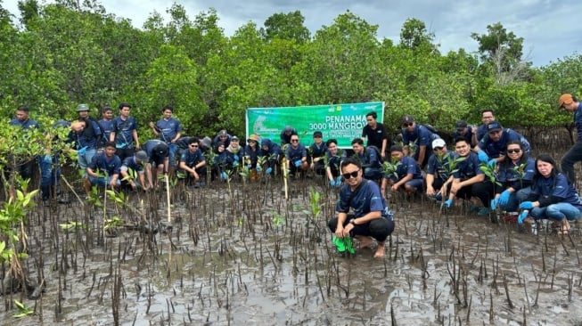 Peringati Hari Lingkungan Hidup Sedunia, PLN Tanam 3.000 Mangrove di Pesisir Sulawesi Utara