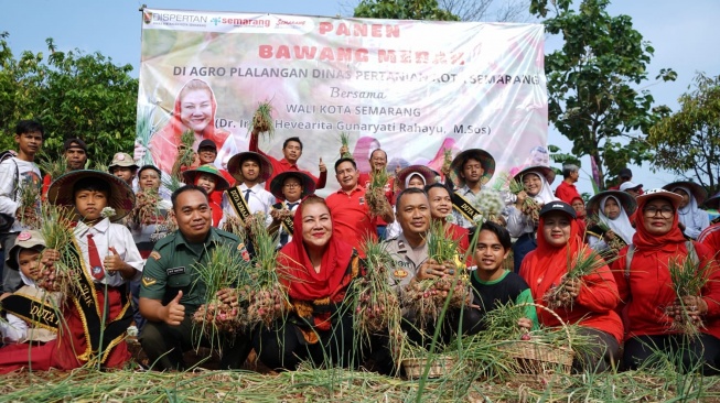 Panen Raya! Lahan 200 Meter di Semarang Hasilkan 400 Kg Bawang Merah