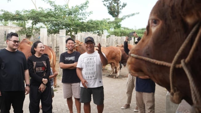 Mas Dhito Bareng Mbak Cicha Beli Empat Ekor Sapi Jumbo untuk Kurban