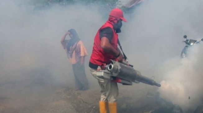 Waspada! 222 Kasus DBD di Pesisir Barat, Terbanyak di Pesisir Tengah