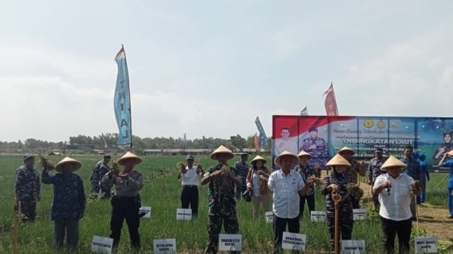 TNI AL Gandeng Petani Bantul Wujudkan Ketahanan Pangan