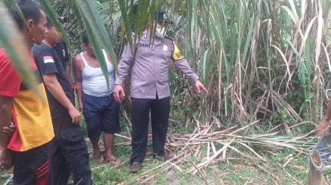 Kepala Desa di Sergai Tewas Tersambar Petir