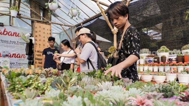 Sejumlah pengunjung melihat tanaman hias dalam Pameran Flona 2024 di Lapangan Banteng, Jakarta, Sabtu (13/7/2024). [Suara.com/Alfian Winanto]