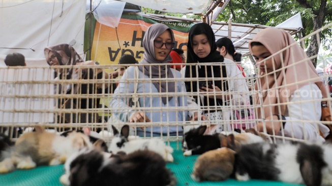 Sejumlah pengunjung melihat hewan peliharaan dalam Pameran Flona 2024 di Lapangan Banteng, Jakarta, Sabtu (13/7/2024). [Suara.com/Alfian Winanto]