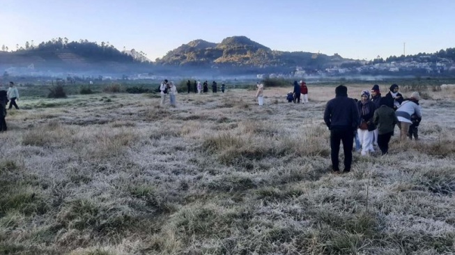 Embun Beku Kembali Selimuti Kompleks Candi Arjuna Dieng, Jadi Buruan Wisatawan