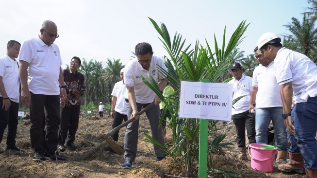 PTPN IV Regional I Realisasikan 744,93 Ha Lahan Peremajaan Sawit Rakyat Sampai Dengan Juli 2024