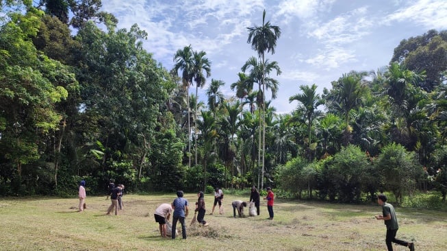 Maek Bersiap Sambut Dunia, Antusias Warga Nagari Seribu Menhir Jelang Festival Budaya Akbar