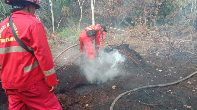 Karhutla 6 Hektare di Siak, Tiga Helikopter Water Bombing Dikerahkan