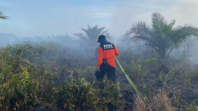 BREAKING NEWS: Status Kualitas Udara Kubu Raya Tidak Sehat usai 50 Hektare Lahan Terbakar