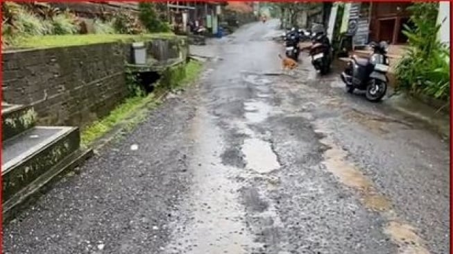 Awas Terperosok,  Video Jalan Berlubang di Ubud Ini Jadi Sorotan Warganet