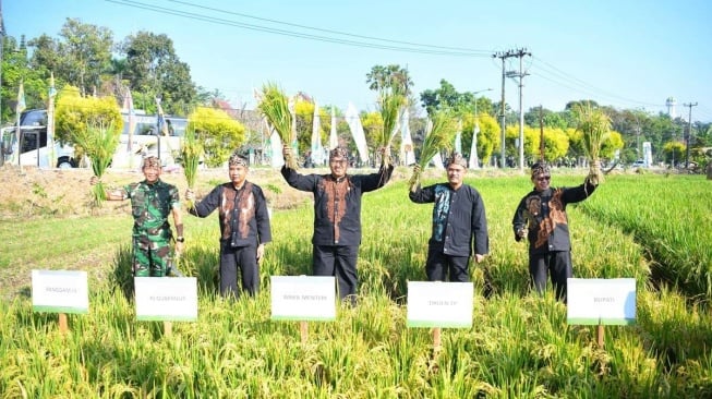 Jabar Tuan Rumah Gebyar Perbenihan Tanaman Pangan