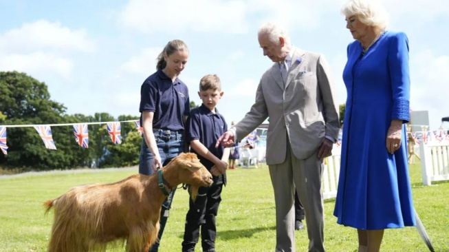 Raja Charles III Anugerahkan Gelar Kerajaan untuk Kambing