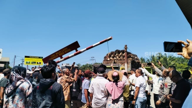 Konflik Koperasi Berujung Terhentinya Operasional Perusahaan Sawit di Pasaman Barat, 800 Pekerja Terancam!