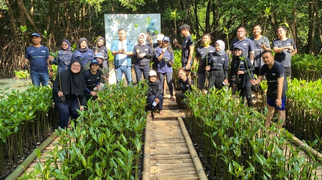 Peringati Hari Mangrove Sedunia, PNM Peduli Tanam 50.000 Pohon Mangrove untuk Tekan Bencana di Pesisir