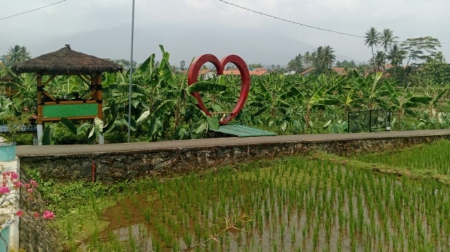 Raih Juara Desa BRILian, Desa Cikaso Sukses Gali Potensi Pertanian dan Wisata