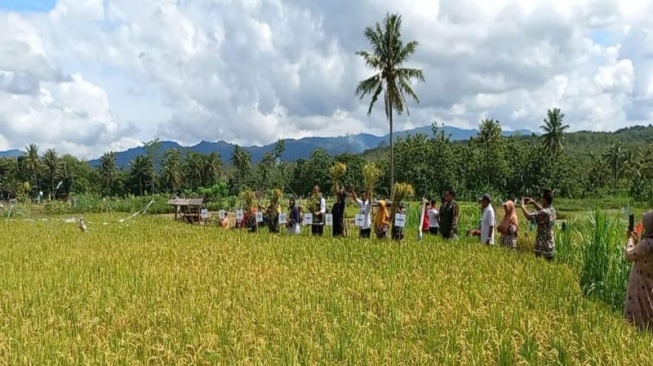 Pupuk Organik Dinilai Bisa Tingkatkan Produktivitas Pagi Hingga Lestarikan Lingkungan