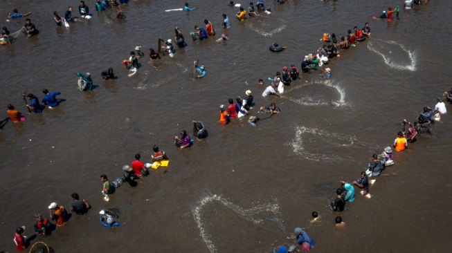 Potret Ribuan Warga Semarang Panen Ikan Sepuasnya saat Kolam PLTA Timo Dikuras