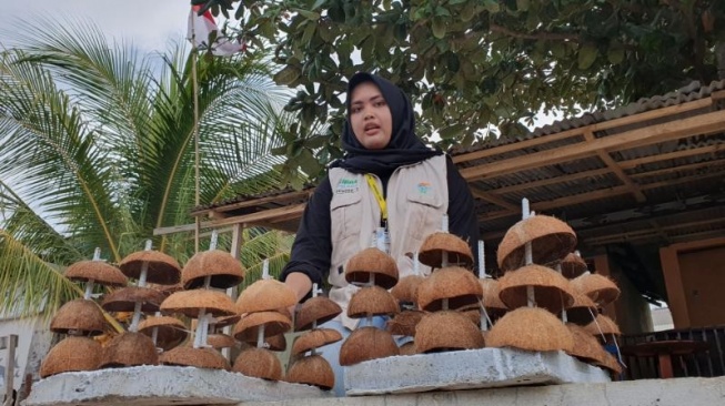 Kegiatan mahasiswa KKN UGM saat transplantasi terumbu karang di Pulau Bunaken. [Suarajogja.id/Hiskia Andika Weadcaksana]