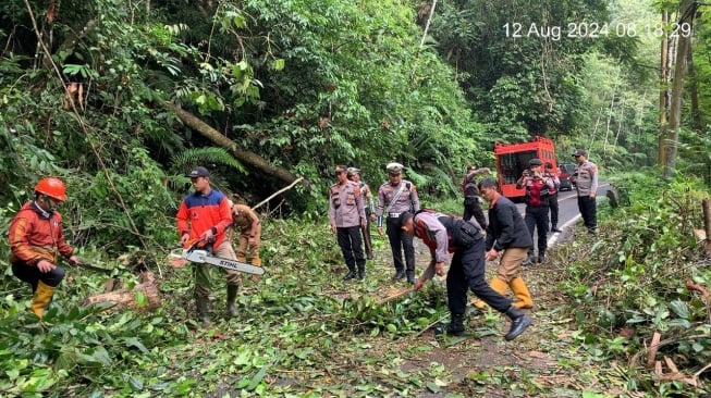 Pohon Tumbang di Jalur Liwa-Krui, Polisi Berlakukan Buka Tutup Jalan