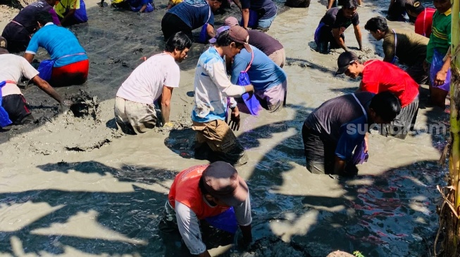 Basah-Basahan dan Ketawa Bersama! Suasana Lomba Tangkap Lele di Bulu Sukoharjo