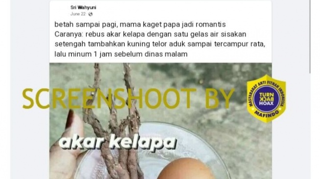 Cek Fakta: Akar Kelapa dan Kuning Telur Bisa Meningkatkan Stamina Seks Pria, Benarkah?