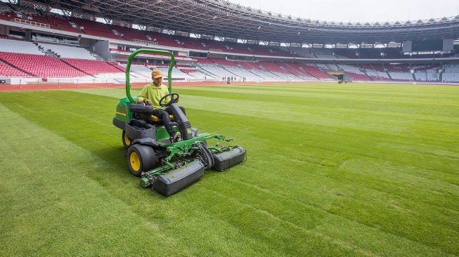 Kondisi rumput Stadion Utama Gelora Bung Karno (SUGBK), Senayan, Jakarta pasca tahap penanapan dalam proses revitalisasi, Senin (12/8/2024). [Dok. Instagram/@love_GBK]