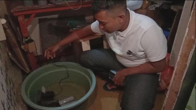 Kisah Viral di Malang: Kamar Kos Putri Berubah Jadi Kolam Pembibitan Lobster