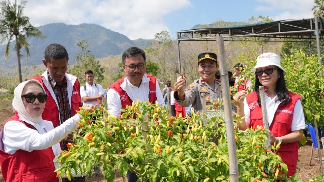 Lewat Program Tajumase, Nelayan di NTT Manfaatkan Pekarangan untuk Kemandirian Pangan