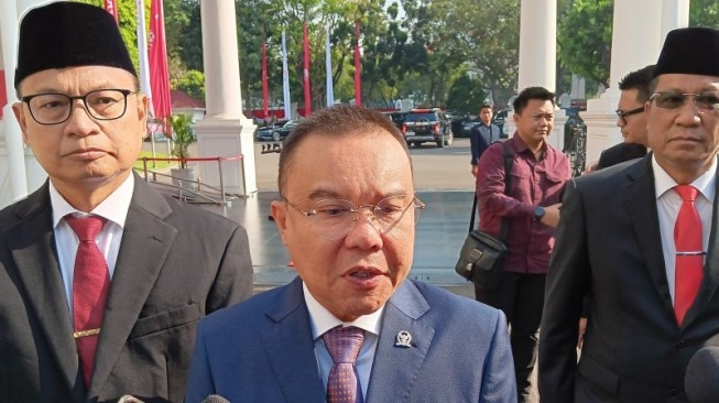 Ketua Harian Partai Gerindra Dasco Ahmad saat menyampaikan keterangan kepada wartawan di Istana Kepresidenan Jakarta, Senin (19/8/2024). (ANTARA/Mentari Dwi Gayati)