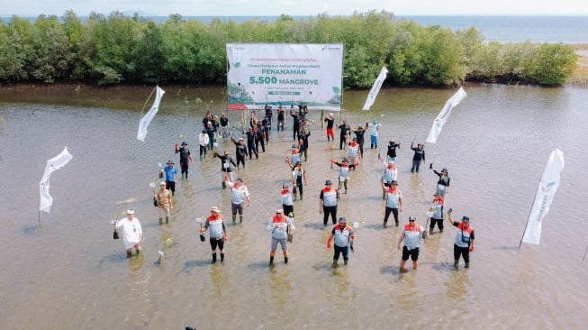 Pertamina Trans Kontinental Tanam 5.500 bibit Mangrove dan Resmikan Rumah Pembibitan