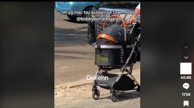 Naik Alphard, Harga Stroller Kucing Prabowo Bikin Elus Dada: Tanpa Uang Rakyat, Bapaknya Bobby Udah Kaya!