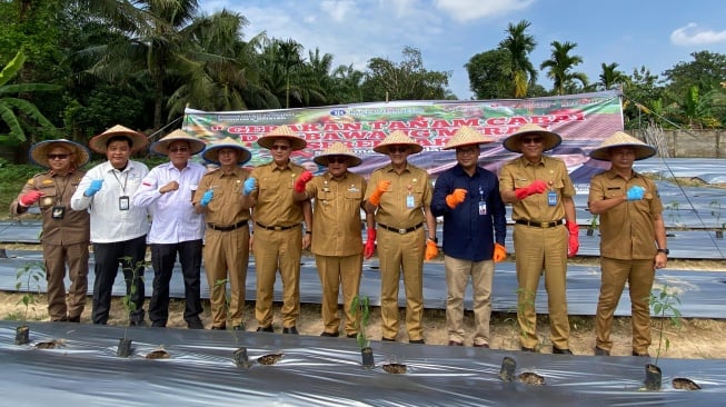 Panen Raya Tekan Harga Bikin Deflasi Bulanan Sumsel Makin Dalam