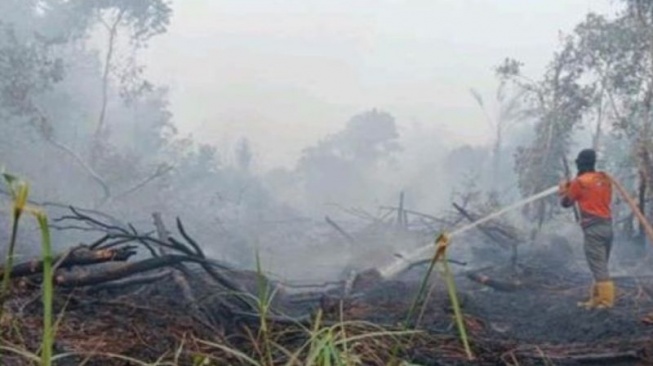 Berlangsung Sejak Agustus 2024, Karhutla di Sungai Rotan Muara Enim Mencapai 53 Hektare