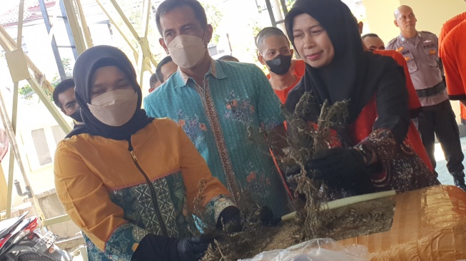 Jaringan Ganja Antar Provinsi Jogja-Medan-Aceh Dibongkar, 1 Kg Lebih Ganja Disita!