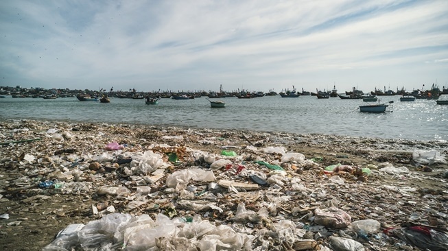 PCX Markets Berhasil Cegah 100 Juta Kilogram Limbah Plastik Cemari Alam