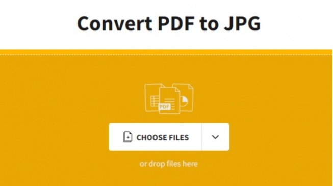 Cara Ubah PDF ke JPG dan Sebaliknya Agar Sukses Unggah Dokumen CPNS 2024
