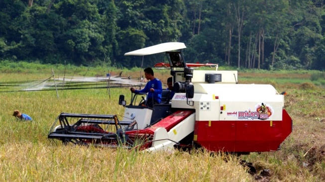 Alokasi APBN untuk Pertanian di Lampung Sebesar Rp 217 Miliar