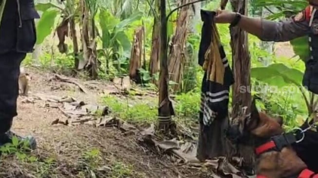 Baju diduga milik pelaku pembunuhan Nia gadis penjual gorengan berhasil ditemukan anjing pelacak K9 Unit Polsatwa Ditsamapta Polda Sumbar. [dokumentasi]