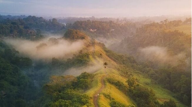 Bukit Campuhan, Objek Wisata Alam di Ubud Bali dengan Panorama Tiada Dua