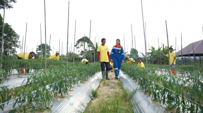 Permata Borneo, Inovasi Lestari Pulihkan Hutan Kutai Timur