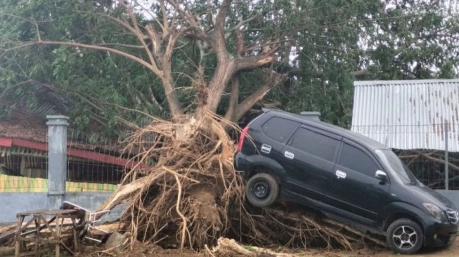 Hati-hati! Angin Kencang di Lawang, Ruko Rusak dan Jalan Menuju Wisata Lumpuh