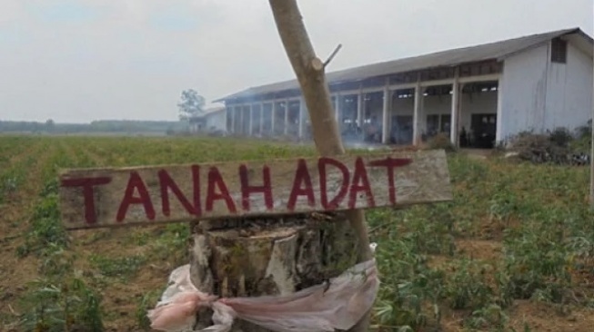 Termasuk 1 Provinsi di Kalimantan, ATR/BPN Sukses Terbitkan 41 Sertipikat Hak Pengelolaan Tanah Ulayat