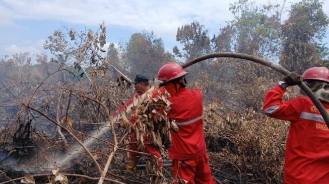 Belum Juga Padam, Karhutla di Sungai Rotan Muara Enim Memasuki Hari ke-22