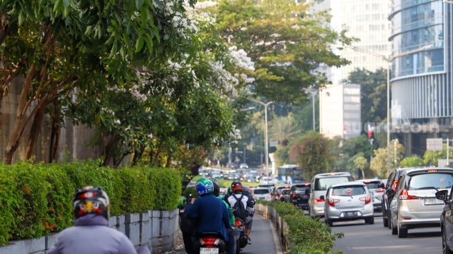 Warga berjalan di bawah pohon tabebuya di Jalan Jenderal Sudirman, Jakarta, Jumat (27/9/2024). [Suara.com/Alfian Winanto]