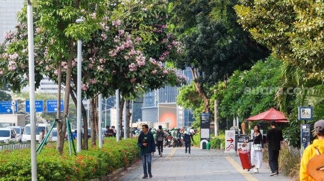 Tak Hanya Cantik, Ini 7 Manfaat Bunga Tabebuya yang Jarang Diketahui