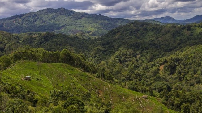 Kalbar Terima Hibah Rp1 Triliun dari Green Climate Fund untuk Pelestarian Hutan