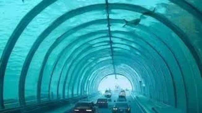 Rp 11 Triliun untuk Tol Bawah Laut IKN: Worth It atau Tidak?