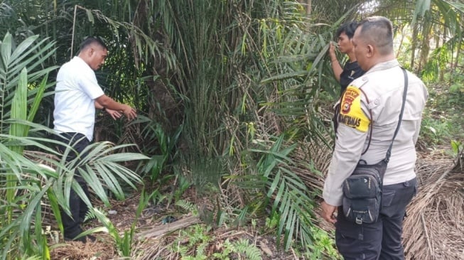 Tempat kejadian perkara (TKP) pemerkosaan bocah di bawah umur di Kabupaten Siak. [Ist]