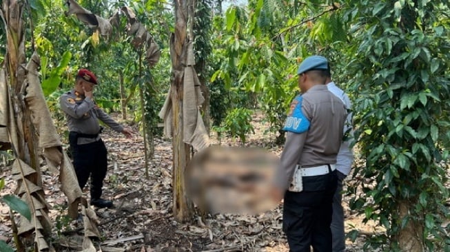 Geger! Mayat Tanpa Identitas Diduga Terbakar di Kebun Pringsewu