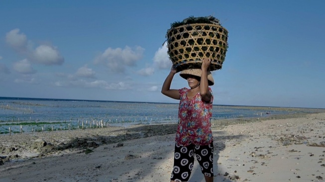 BRImo Jadi Senjata Andalan, Petani Rumput Laut Dusun Semaya Tak Gentar Hadapi Persaingan